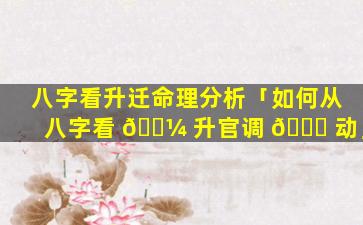 八字看升迁命理分析「如何从八字看 🐼 升官调 🐘 动」